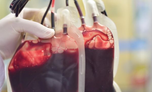WholeBlood-Web WholeBlood-Web